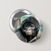 サル 缶バッジ (正面&裏面)