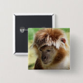 サル 缶バッジ (正面&裏面)