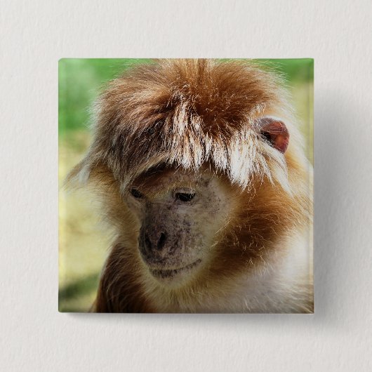 サル 缶バッジ (正面)