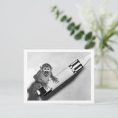 サル – NASA - 1950s ポストカード (スタンド正面)