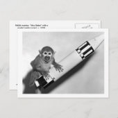 サル – NASA - 1950s ポストカード (正面/裏面)