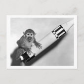 サル – NASA - 1950s ポストカード (正面)