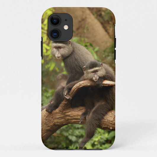 サルiPhone 5 Case-Mate iPhoneケース (裏面)