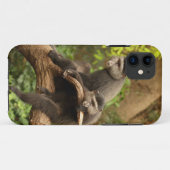 サルiPhone 5 Case-Mate iPhoneケース (裏面(横))