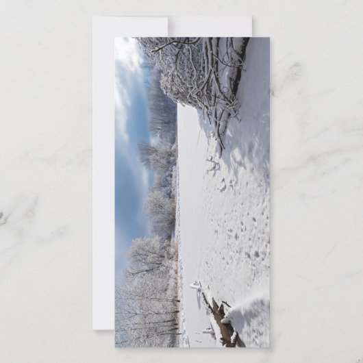 サレムヒルの池と森林に沿った冬の景勝地 (正面)