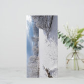 サレムヒルの池と森林に沿った冬の景勝地 (スタンド正面)