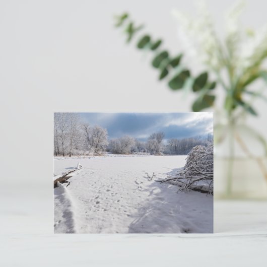 サレムヒルの池と森林に沿った冬の景勝地 ポストカード (スタンド正面)