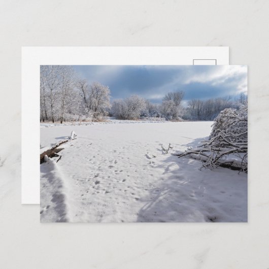 サレムヒルの池と森林に沿った冬の景勝地 ポストカード (正面/裏面)