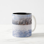 サレムヒルズ池と森の冬の風景 ツートーンマグカップ (正面右)
