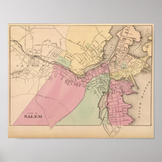 サレム ポスター (正面)