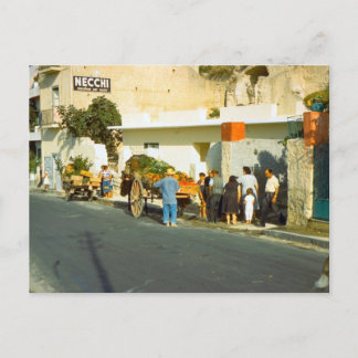 サレルノ野菜売り ポストカード