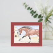 「サレー・ビント・セフキット」 ポストカード (スタンド正面)