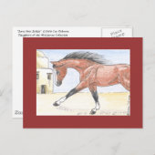 「サレー・ビント・セフキット」 ポストカード (正面/裏面)