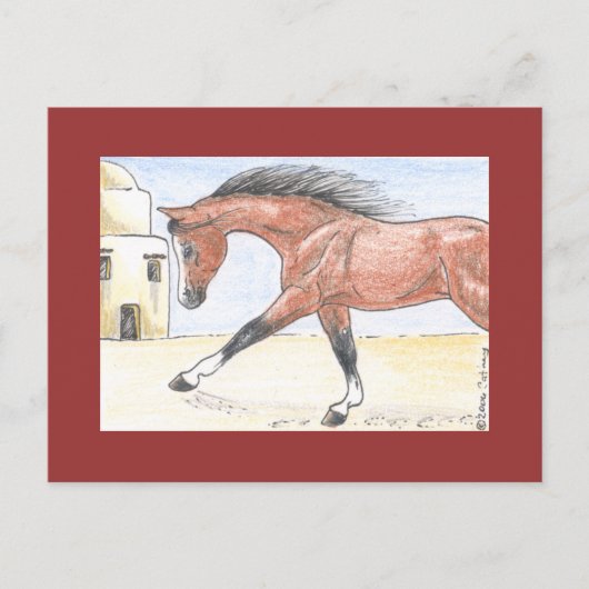 「サレー・ビント・セフキット」 ポストカード (正面)