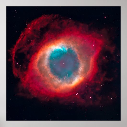 サロンの目 ポスター (正面)