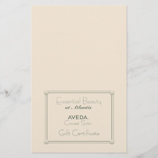 サロンギフト券(DIY折り畳み) チラシ (正面)