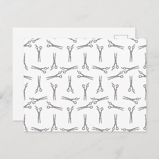 サロンシザースシアーズカスタムBG色 ポストカード (正面/裏面)