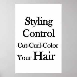 サロン バーバーショップ ポスター ヘアスタイリング コントロール