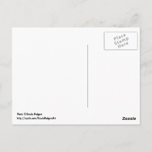 サロン ポストカード (裏面)