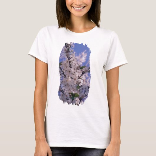 サワーさくらんぼツリーブルースカイ Tシャツ (正面)