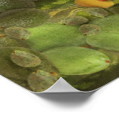 サワーブドウファインアートスポフ ポスター (角)