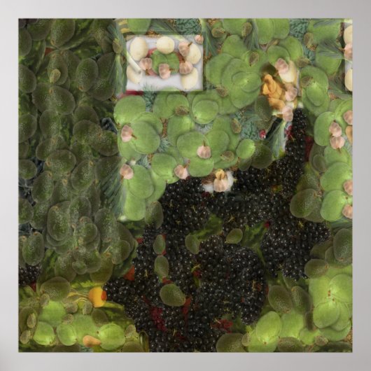 サワーブドウファインアートスポフ ポスター (正面)