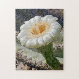サワーロサボテンの花 パズル 11" x 14" 252ピース