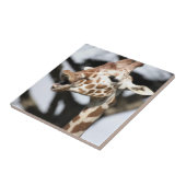 サンおもしろいフランシスコ・キリン タイル (側面)