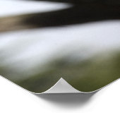 サンおもしろいフランシスコ・キリン ポスター (角)