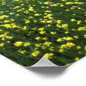 サンの美しい黄色の花の畑 ポスター (角)