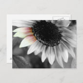 サンはがきの色合い ポストカード (正面/裏面)