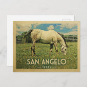 サンアンジェロテキサス州ホースファーム – ヴィンテージトラベル ポストカード (正面/裏面)
