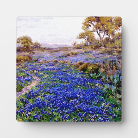 サンアントニオの北トワイライトのブルーボンネット フォトプラーク (正面)