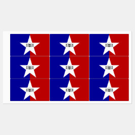 サンアントニオ市旗と愛国的なラベル ラベル