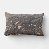 サンアントニオ、テキサス州、アンティーク航空市地図1873 ランバークッション (正面)