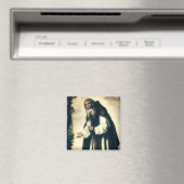 サンアントニー・ザ・アンチョライト マグネット (インサイチュ (食洗機))