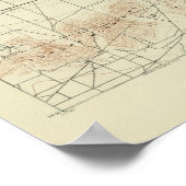 サンアンドレアスの裂け目を示すサンベルナルディーノ四辺形 ポスター (角)