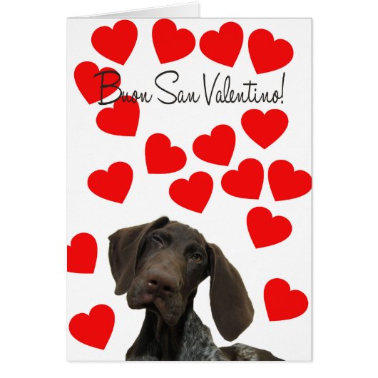 サンイタリアンヴァレンティーノグロシグリーグリーバレンタイン (正面)