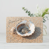 サンイベル島のカメからのご挨拶 シェルの中 カード (スタンド正面)