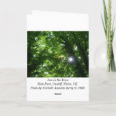 サンインザツリーズ-誕生日 カード (裏面)