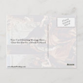 サンエリザベス・オブ・ハンガリー ポストカード (裏面)