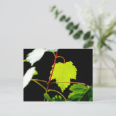 サンカクバイ ポストカード (スタンド正面)