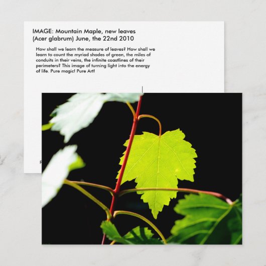 サンカクバイ ポストカード (正面/裏面)