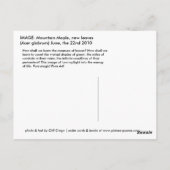 サンカクバイ ポストカード (裏面)