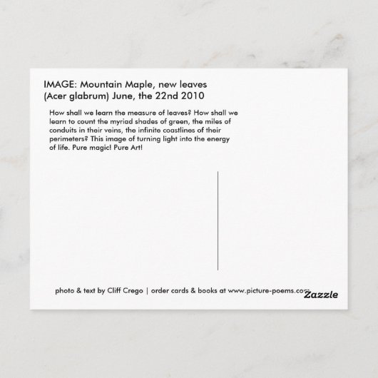 サンカクバイ ポストカード (裏面)