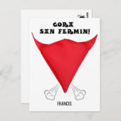 、サンカスタム・フェルミンのスカーフは牛の頭に折り畳まれていた。 ポストカード (正面/裏面)