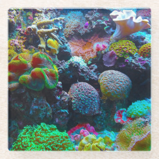 サンカラフルゴ ガラスコースター