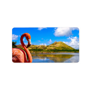 サンカリブのチットのフラミンゴ ラベル