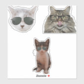 サンガカッコいいラスをかぶった猫 シール (シート)