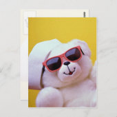 サンガクールラスのテディベア ポストカード (正面/裏面)